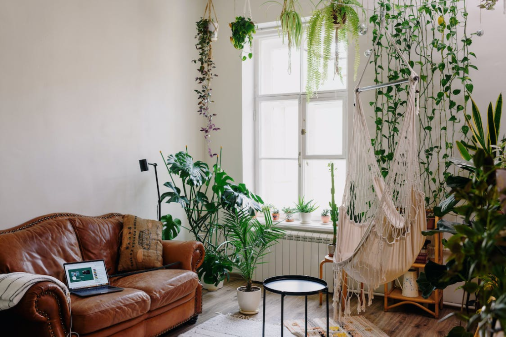 A living room with plants theme